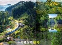 91九色麻豆免费版-