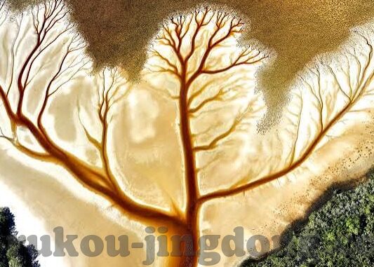 av基地网站麻豆-令人愉悦的AV作品——在AV基地的麻豆展示